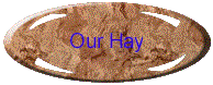 Our Hay