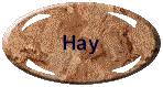 Our Hay