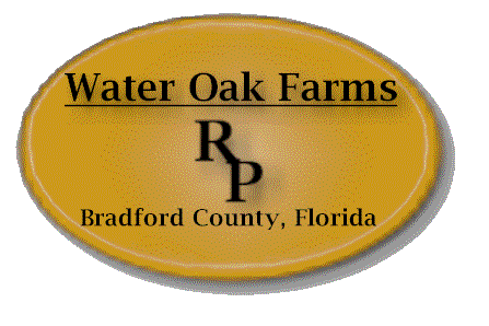 Quality Santa Gertrudis cattle and Nubian goats at Water Oak Farms